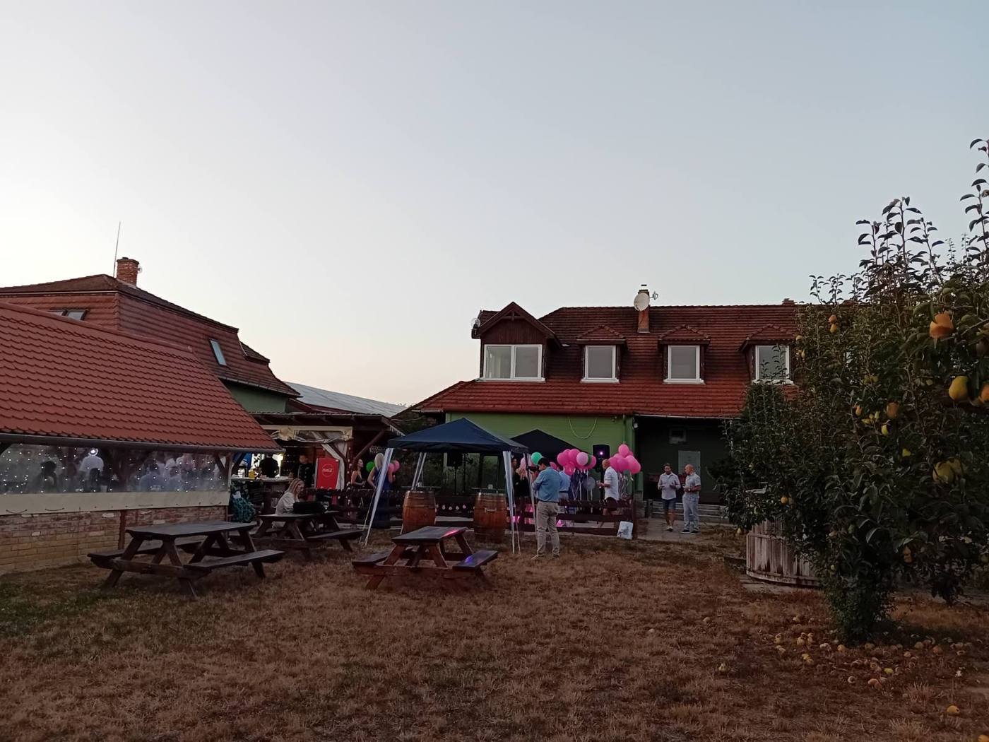 A birtok kertje alkonyatkor, birsalmafával